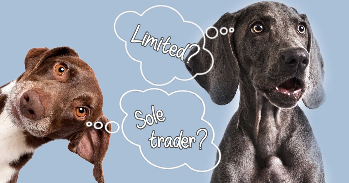 The advantages of sole tradership over a limited company 