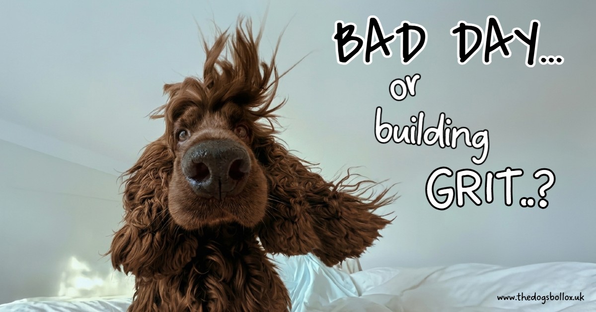 The Resilience of the "Off Day": Why a Bad Day Isn’t a Reflection of Your Business Success
