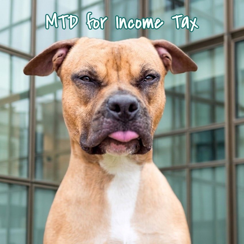 Tastes like... digital tax. We’ll help you swallow it A Terrier sitting outside an office with a squinting, disgusted expression and tongue poking out, representing the frustration of MTD.