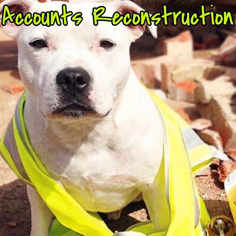 Total disaster? Let us rebuild your books from the ground up. A white dog wearing a hi-vis jacket on a demolition site for an accounts reconstruction service.