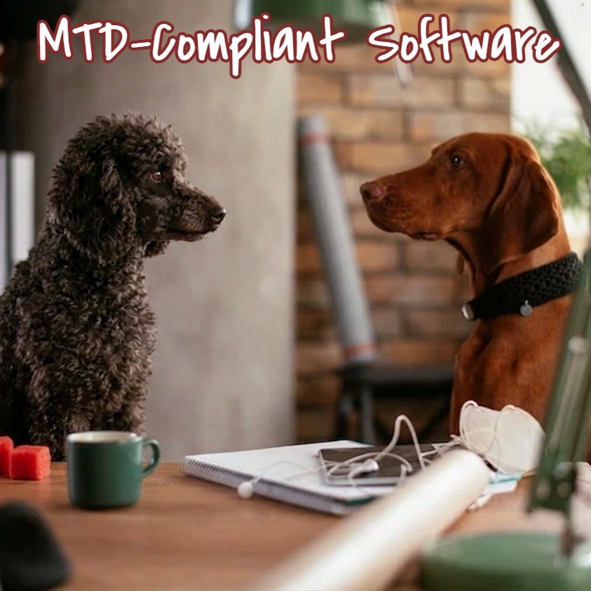 Smart software solutions. No barking up the wrong tree A Poodle and a Vizsla sitting upright at a desk in deep discussion, representing our expert consultancy for accounting software solutions.